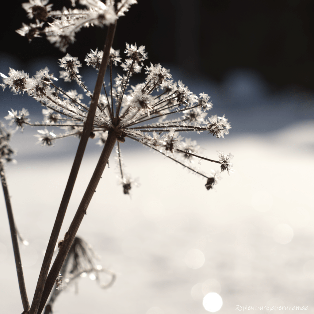 Oliko äitini sittenkin&nbsp;oikeassa?