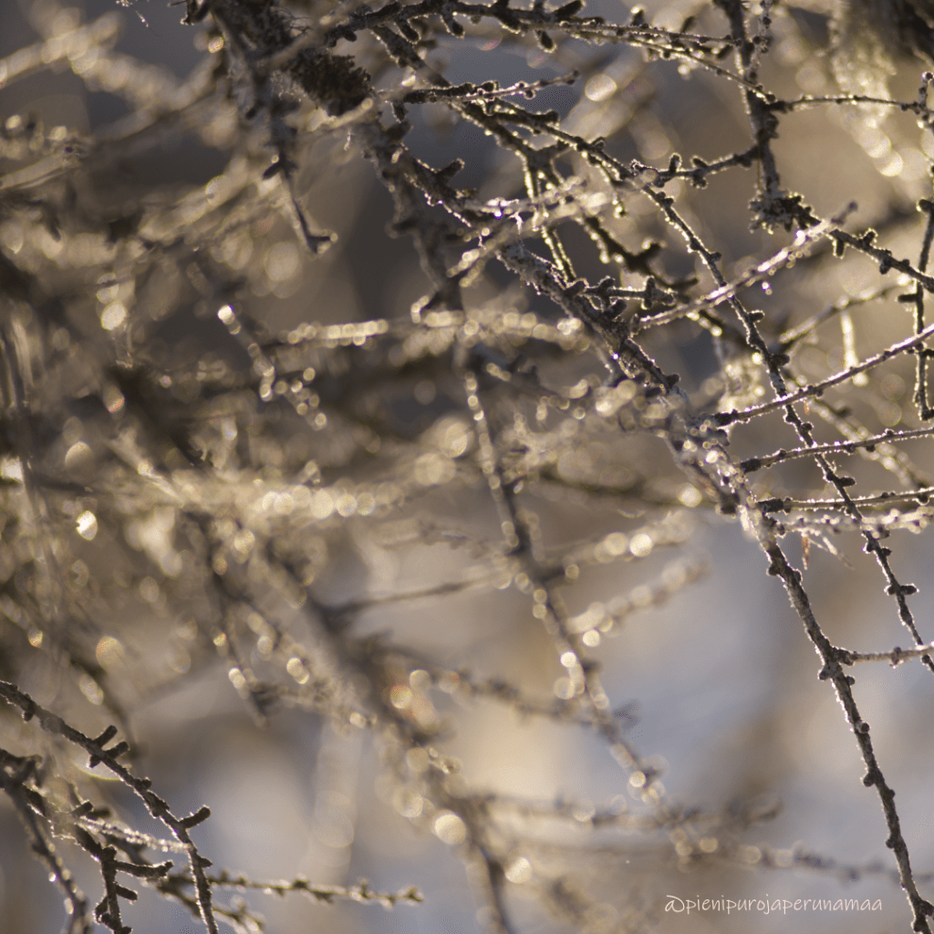 Tämä on minua&nbsp;kantanut